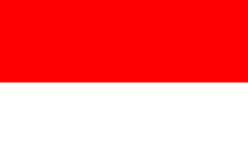 Indonesia National Football Team