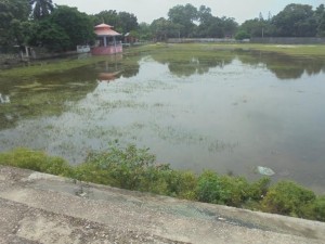 पोखरी मा परिणत भएको राज रङशाला 